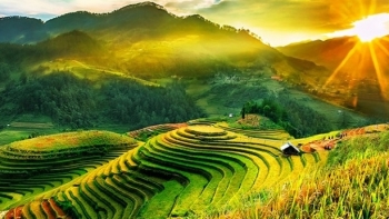 Yên Bái: Đón 50 nghìn lượt khách du lịch trong dịp Tết Tân Sửu