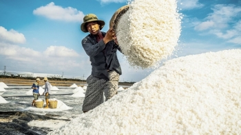 Bạc Liêu: Thực hiện chương trình hành động về phát triển du lịch năm 2021