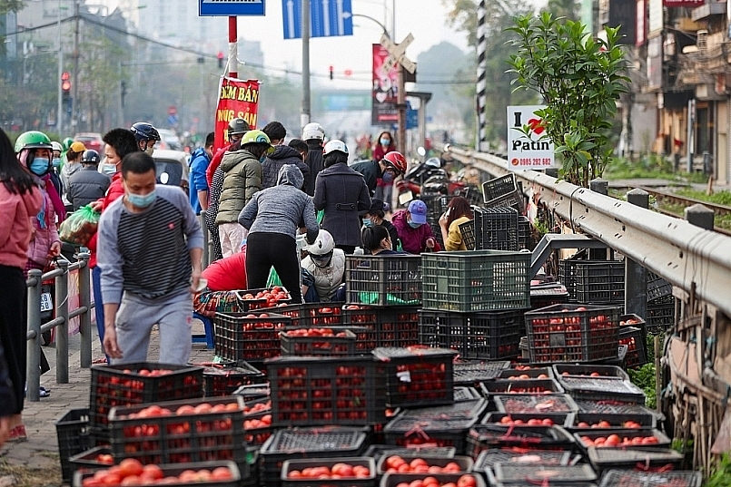 Hà Nội: Dốc toàn lực hỗ trợ tiêu thụ nông sản, thực phẩm tỉnh Hải Dương