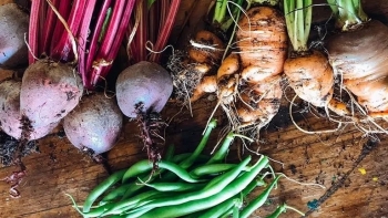 Giá rau củ quả hôm nay 24/2: Hấp dẫn người tiêu dùng