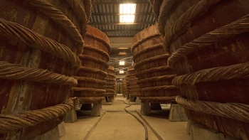 Để nước mắm Phú Quốc vươn xa