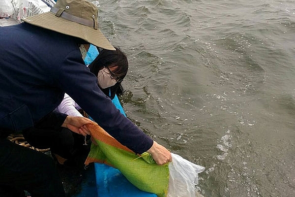 Bà Rịa - Vũng Tàu xây dựng kế hoạch thả giống tái tạo và phát triển nguồn lợi thủy sản năm 2021