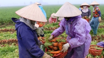 Tháng 1/2021, xuất khẩu nông lâm thủy sản thu về gần 3,5 tỷ USD