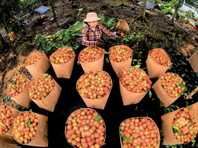 Phê duyệt Đề án Đổi mới phương thức kinh doanh tiêu thụ nông sản giai đoạn 2021 – 2025 định hướng đến năm 2030