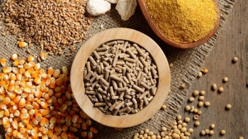 Nhập khẩu thức ăn gia súc và nguyên liệu tăng 65% trong tháng đầu năm