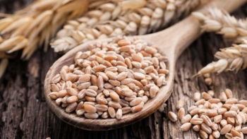 Tháng 1/2021, nhập khẩu lúa mì giảm cả lượng và kim ngạch so với cùng kỳ