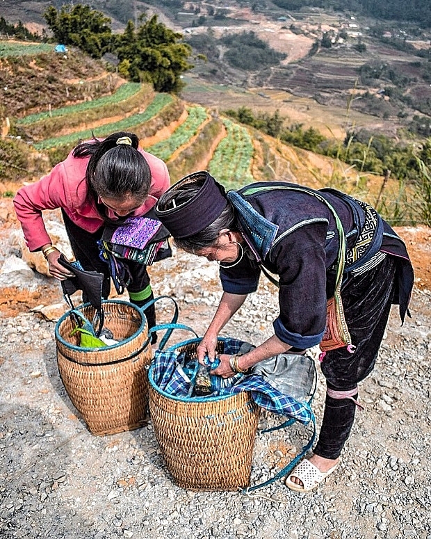 Lào Cai: Công nhận điểm du lịch Vườn đá Tả Phìn