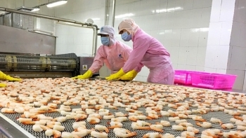 697 doanh nghiệp Việt Nam được phép xuất khẩu thủy sản sang Đài Loan