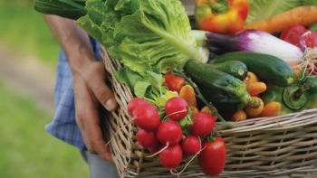 Giá rau củ quả hôm nay 2/3: Thêm nhiều khuyến mãi mới