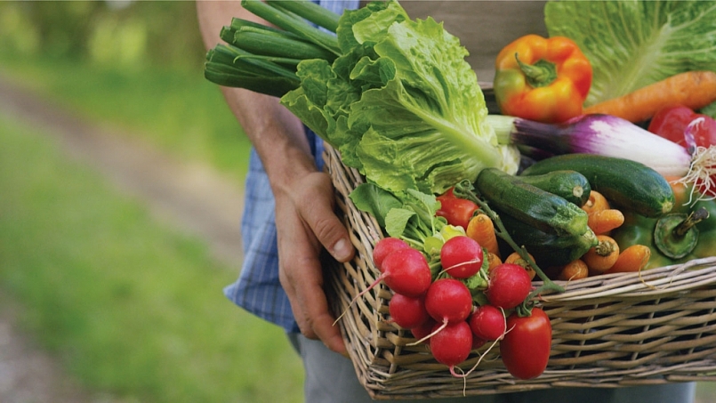 Giá rau củ quả hôm nay 2/3 có thêm nhiều khuyến mãi mới