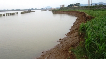 Nghệ An: Chủ động quản lý, phòng, chống sạt lở bờ sông, bờ biển