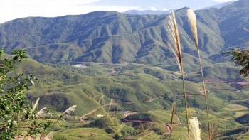 Điện Biên: Tăng cường quản lý, bảo vệ rừng ở Khu Bảo tồn thiên nhiên Mường Nhé