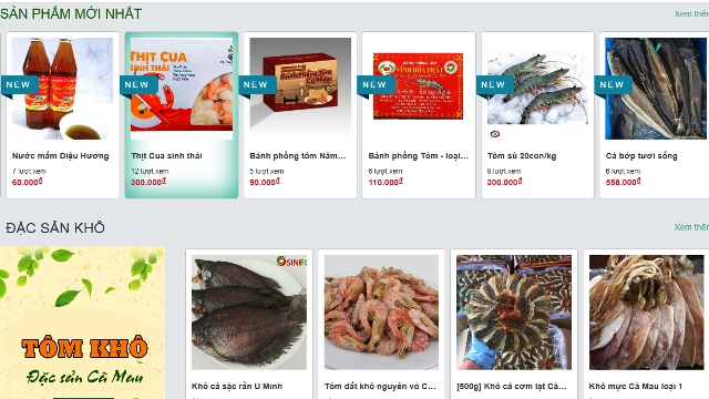 Cà Mau: Ứng dụng rộng rãi thương mại điện tử trong doanh nghiệp và cộng đồng