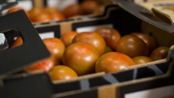 Cảnh báo doanh nghiệp có hành vi lừa đảo, gian lận thương mại tại UAE