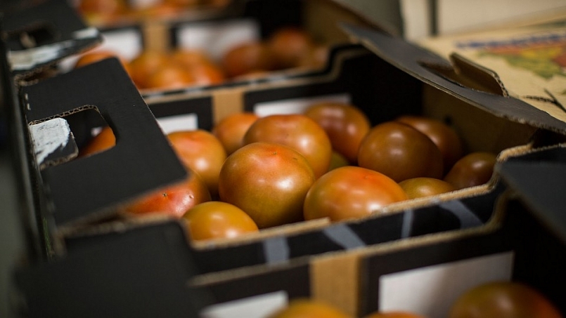 Cảnh báo doanh nghiệp có hành vi lừa đảo, gian lận thương mại tại UAE