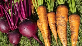 Giá rau củ quả hôm nay 8/3: Đầu tuần nhiều ưu đãi