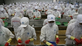 Cà Mau: Phấn đấu giải quyết việc làm cho 39.300 lao động