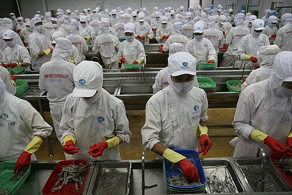 Cà Mau phấn đấu giải quyết việc làm cho 39.300 lao động Cà Mau phấn đấu giải quyết việc làm cho 39.300 lao động