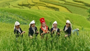 Tuyên Quang: Phát triển nông nghiệp gắn với du lịch ở Na Hang