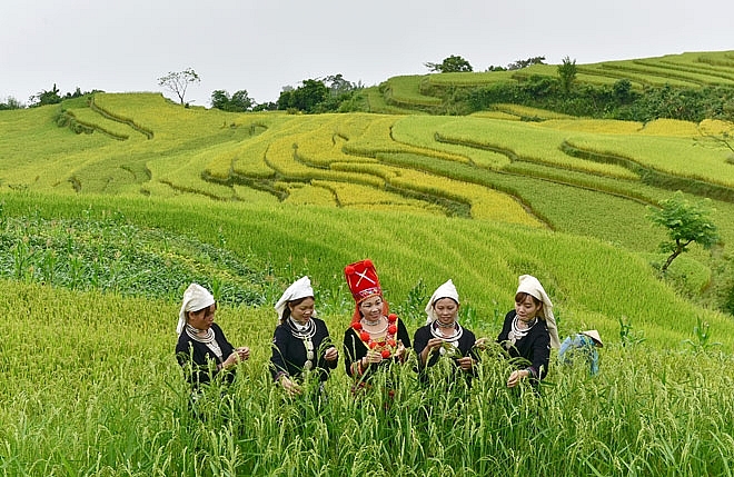 huyện xác định phải làm nông nghiệp để phát triển du lịch