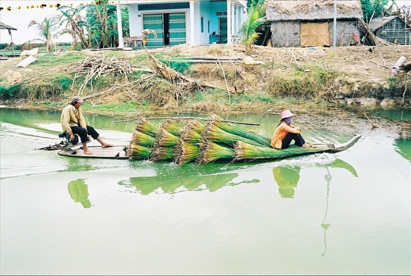 Tại Việt Nam, Phú Mỹ là nơi duy nhất còn lại hệ sinh thái đồng cỏ bàng ở đồng bằng sông Cửu Long, với diện tích lớn