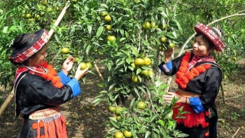 Bắc Kạn: Xây dựng mô hình điểm về du lịch nông thôn tại thôn Phiêng An và Chúa Lải