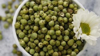 Giá hồ tiêu hôm nay 11/3: Vẫn tăng mạnh, cao nhất 66.000 đồng/kg