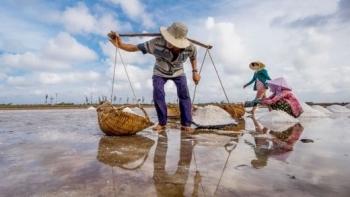 Xuất cấp muối trắng hỗ trợ người dân Hà Tĩnh bị thiên tai