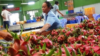 2 tháng đầu năm, kim ngạch thương mại Việt Nam - UAE đạt 809 triệu USD