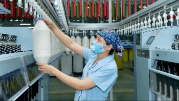 Gia hạn thời hạn điều tra chống bán phá đối với sản phẩm giá sợi dài làm từ polyester