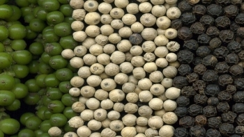 Giá hồ tiêu hôm nay 12/3: Nối đà tăng mạnh