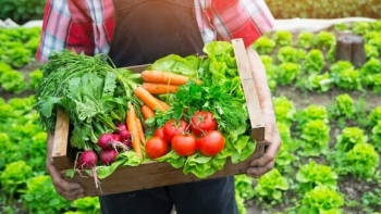 Giá rau củ quả hôm nay 14/3: Nhiều ưu đãi ngày Chủ nhật