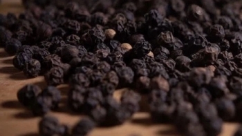 Giá hồ tiêu hôm nay 15/3: Tiếp tục tăng mạnh tại các địa phương