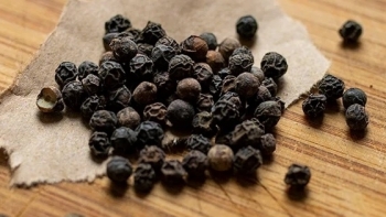 Giá hồ tiêu hôm nay 16/3: Đà tăng nóng vẫn tiếp diễn