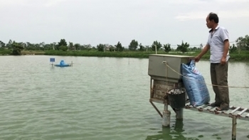 Hà Nội: Triển khai nhiều nhiệm vụ phòng, chống dịch bệnh động vật thủy sản