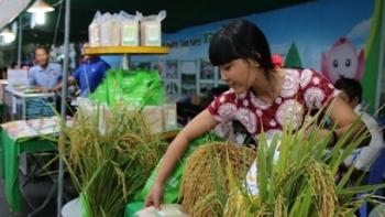 Đồng Tháp: Ưu tiên thu hút đầu tư 7 lĩnh vực nông nghiệp