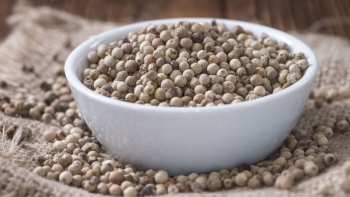 Giá hồ tiêu hôm nay 18/3: Áp sát mốc 80.000/kg