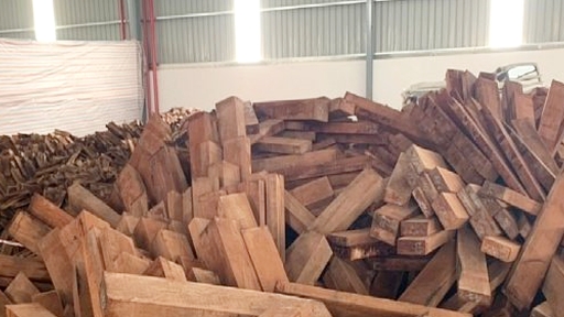 Đà Nẵng: Tăng cường kiểm tra mặt hàng gỗ có nguồn gốc từ châu Phi