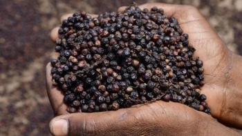 2 tháng đầu năm, lượng hồ tiêu nhập khẩu của Việt Nam tăng gần 14%