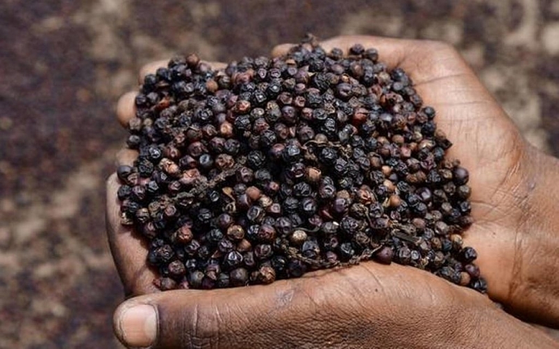 2 tháng đầu năm, lượng hồ tiêu nhập khẩu của Việt Nam tăng gần 14%