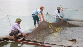 Lai Châu: Bảo vệ và phát triển nguồn lợi thủy sản trên địa bàn tỉnh