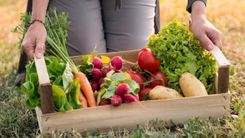 Giá rau củ quả hôm nay 23/3: Có thêm nhiều ưu đãi mới