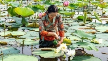 Thừa Thiên-Huế: Ban hành Kế hoạch triển khai Đề án Cố đô Khởi nghiệp năm 2021