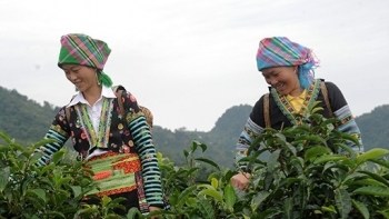 Yên Bái: Triển khai thực hiện mục tiêu giảm nghèo năm 2021