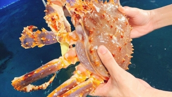 2 tháng đầu năm 2021, nhập khẩu thủy sản của Việt Nam tăng 18%