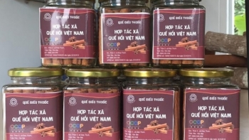 Yên Bái: Huyện Trấn Yên phấn đấu có thêm 6 sản phẩm OCOP đạt tiêu chuẩn từ 3 sao trở lên