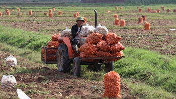 Bắc Ninh: Thúc đẩy tiêu thụ nông, lâm, thủy sản do ảnh hưởng của dịch bệnh Covid-19