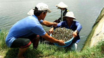 Vĩnh Phúc: Đến năm 2025, phấn đấu có khoảng 6.600 ha diện tích nuôi trồng thủy sản