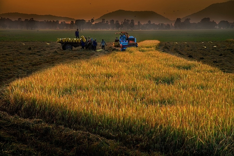 Đến năm 2025, phấn đấu tốc độ tăng trưởng nông nghiệp từ 2,5 - 3%/năm Đến năm 2025, phấn đấu tốc độ tăng trưởng nông nghiệp từ 2,5 - 3%/năm