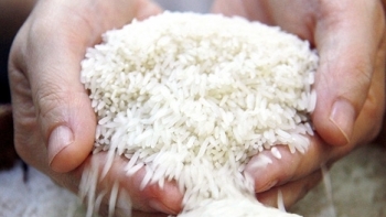 Giá gạo hôm nay 29/3: Trong nước giữ ổn định